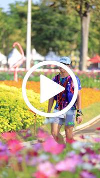 BIB:  <button type="button" onclick="openModal(27583659)" class="btn btn-primary btn-sm float-right" data-toggle="modal" data-target=".modal-high-quality">
                <i class="fa fa-download"></i> Download
                </button>